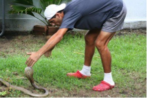 zapatos-para-campamentos-zuecos-crocs