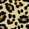 LEOPARDO