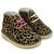 leopardo