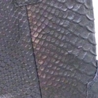 PIEL DE ESCAMAS