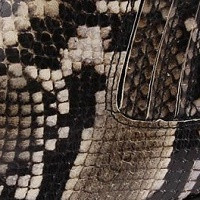 PIEL SERPIENTE