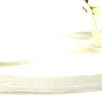 Color blanco