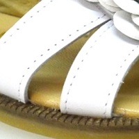 COLOR BLANCO
