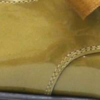 PIEL DE CHAROL