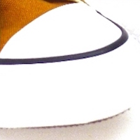 Bota algodón cordón adulto Converse B Chuck Taylor foto 6