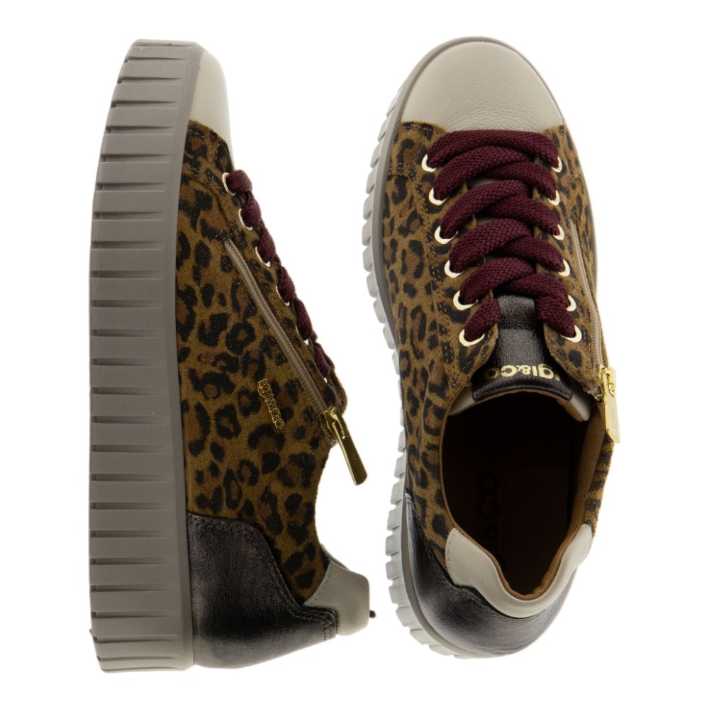 Zapatillas mujer animal print IGI & CO foto 2