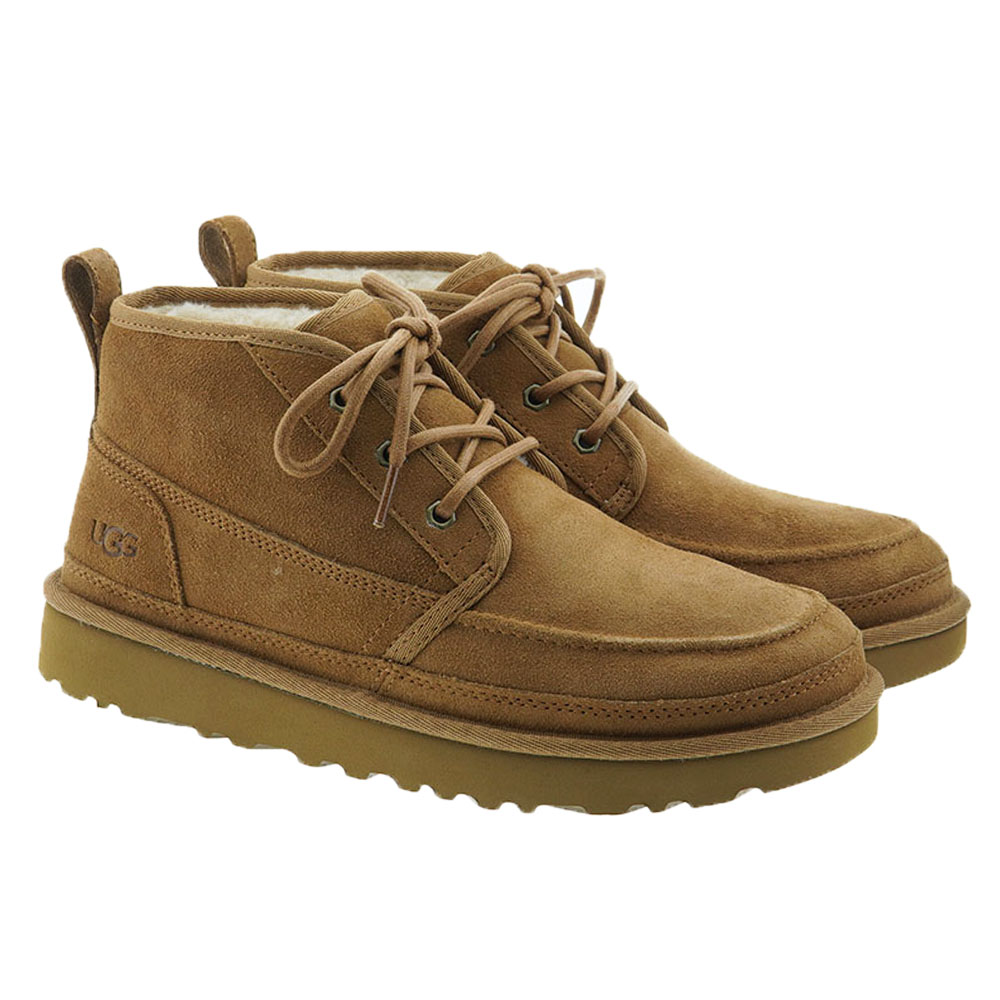 Bota cordón caballero cordero Ugg Neumel